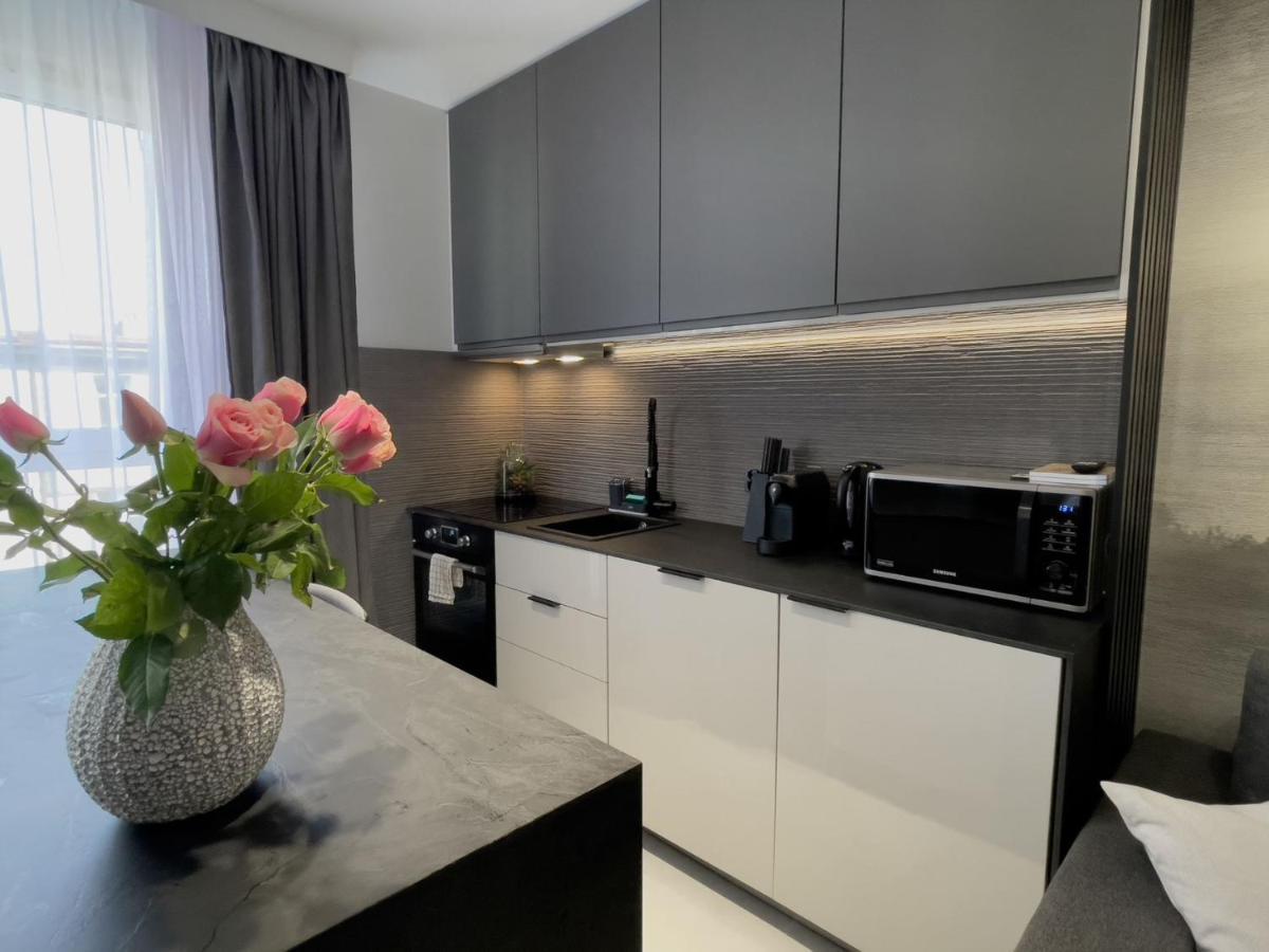 Urban Apartments Premium, Opolska 10 No 89, Free Garage, Self Check-In Katowice Buitenkant foto