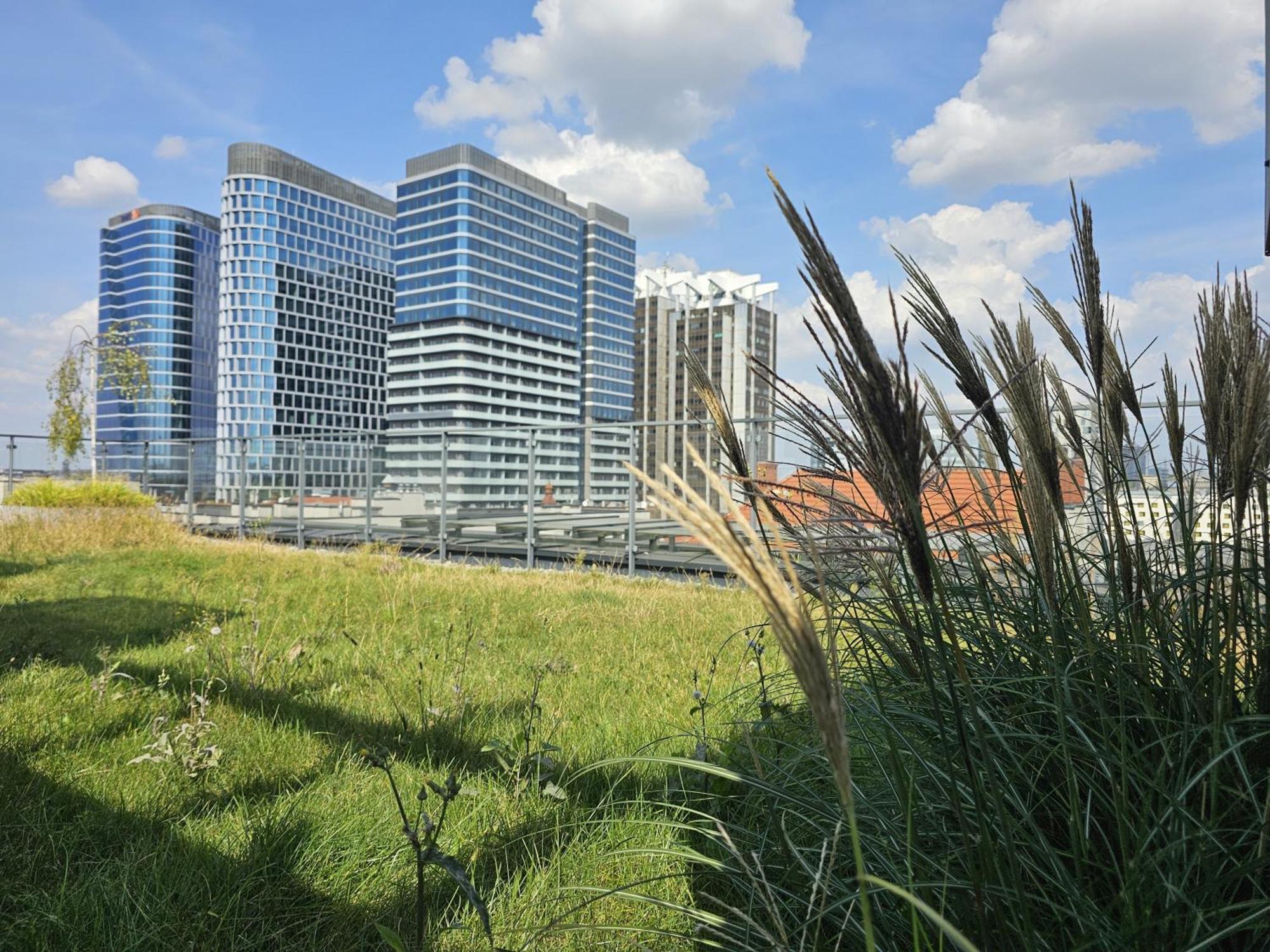 Urban Apartments Premium, Opolska 10 No 89, Free Garage, Self Check-In Katowice Buitenkant foto